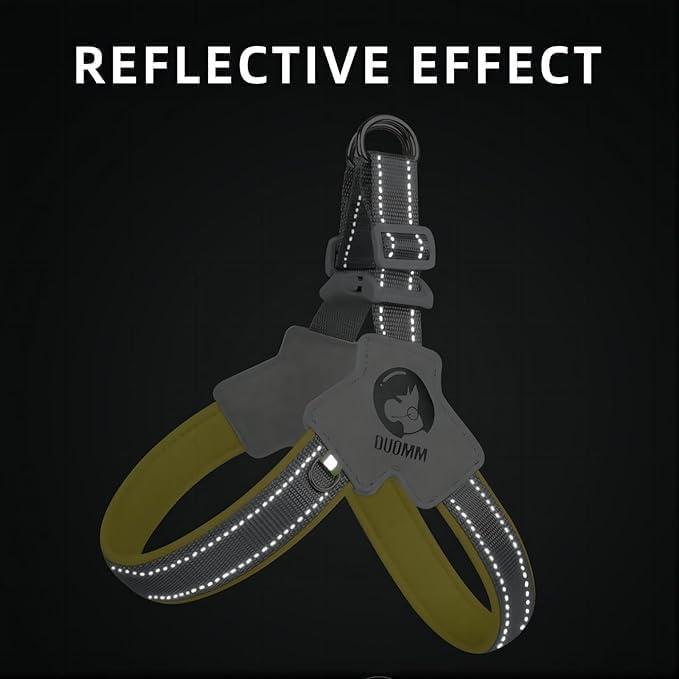 Furrcraft Reflective No-Pull Dog Harness with Leash