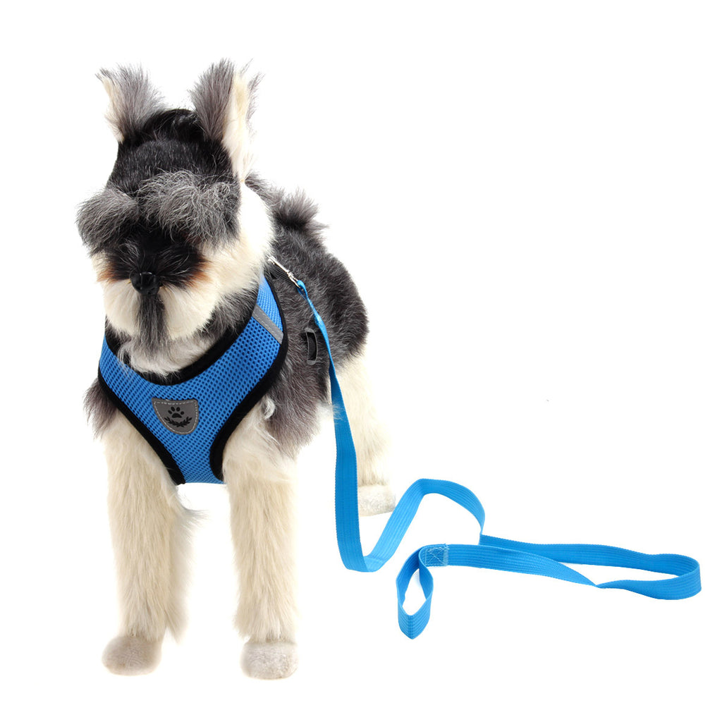 Furrcraft Breathable Mesh Dog Harness & Leash Set