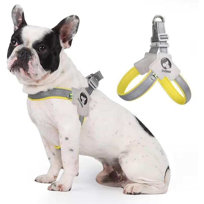 Furrcraft Reflective No-Pull Dog Harness with Leash