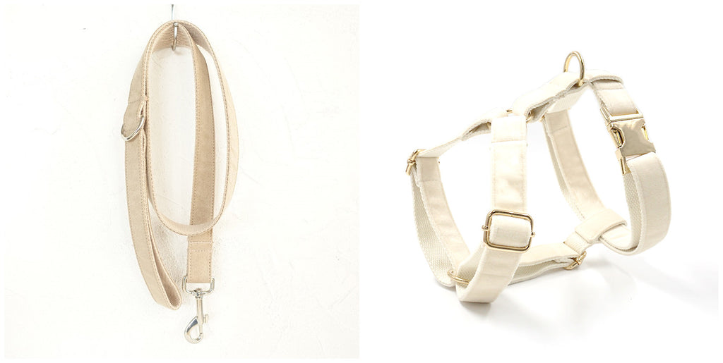 Furrcraft Elegant Bow Tie Dog Collar & Leash Set